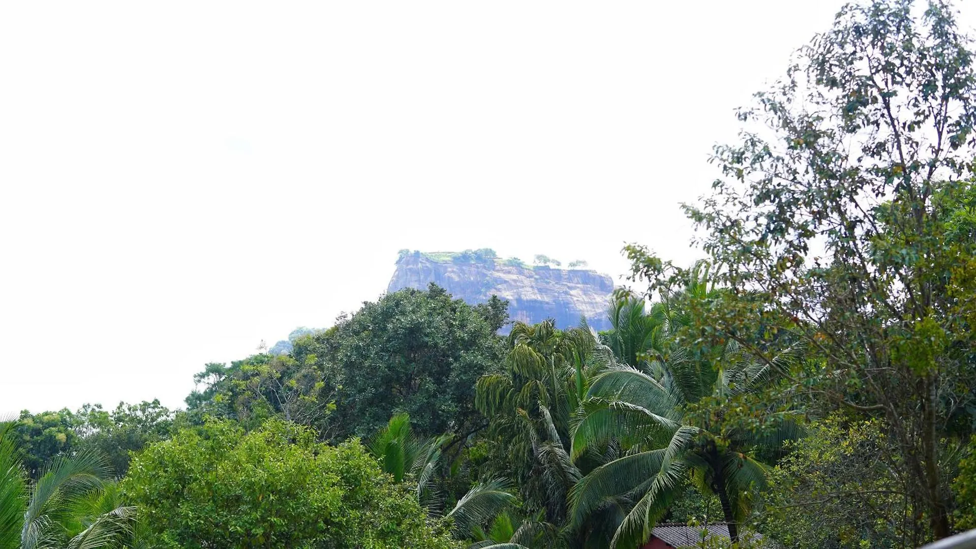 Sigiri Dilu Villa Sigiriya