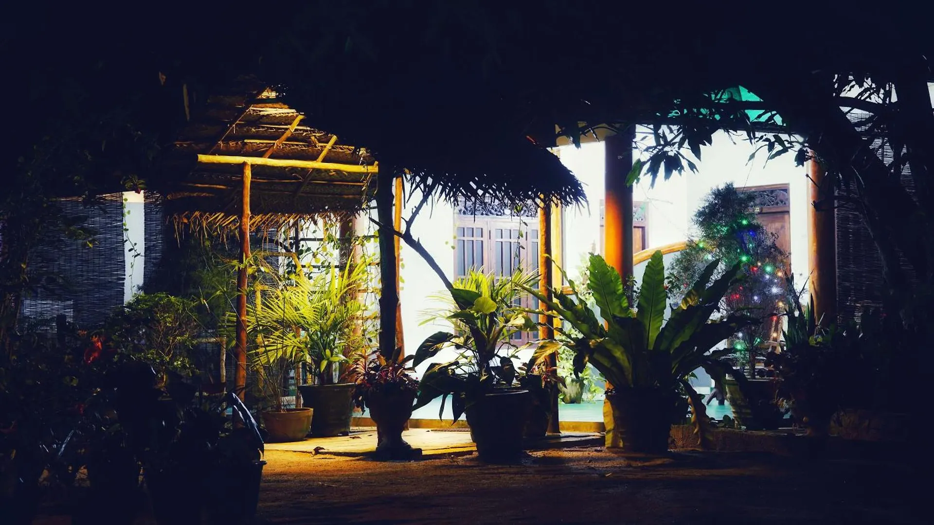 Sigiri Dilu Villa シギリヤ