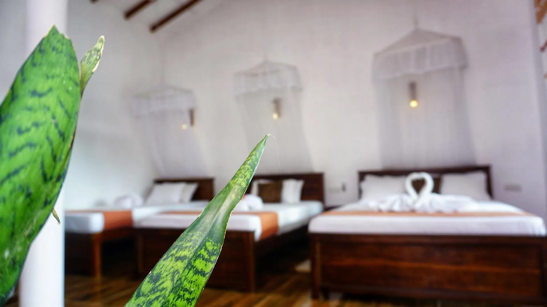 Sigiri Dilu Villa Sigiriya Sri Lanka