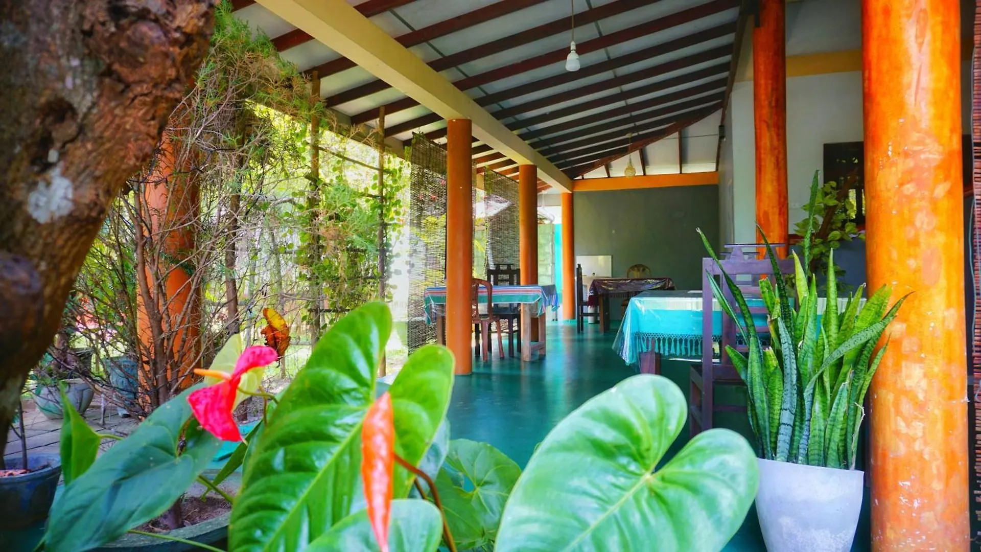 Sigiri Dilu Villa Sigiriya