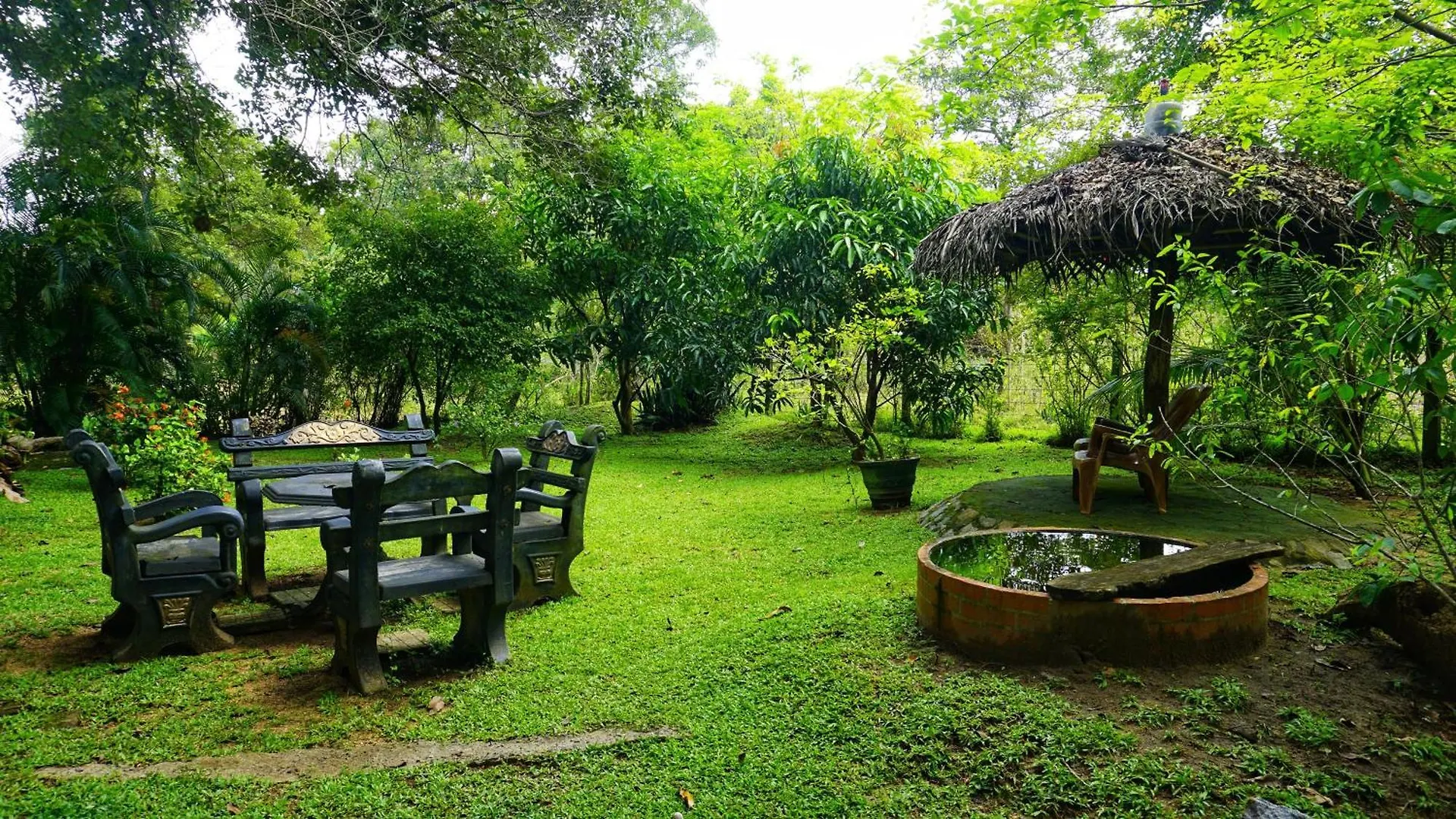Sigiri Dilu Villa Sigiriya
