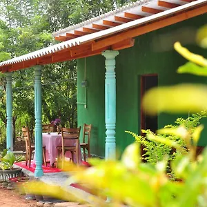 Organic Farm Wish Prabha View Sigirîya